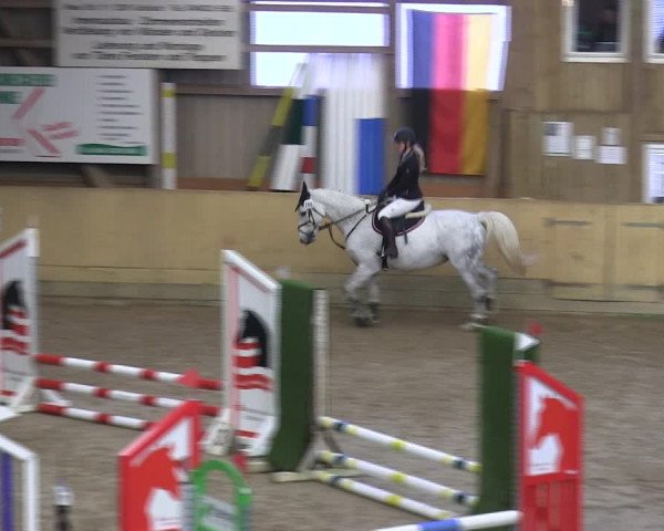 Reitturnier Sörup 2019