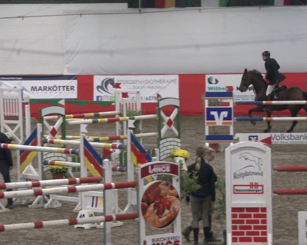 Reitturnier Salzkotten 2019