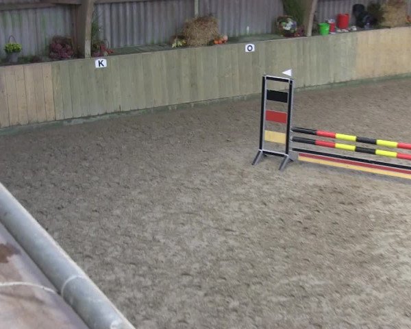Reitturnier Sörup 2019