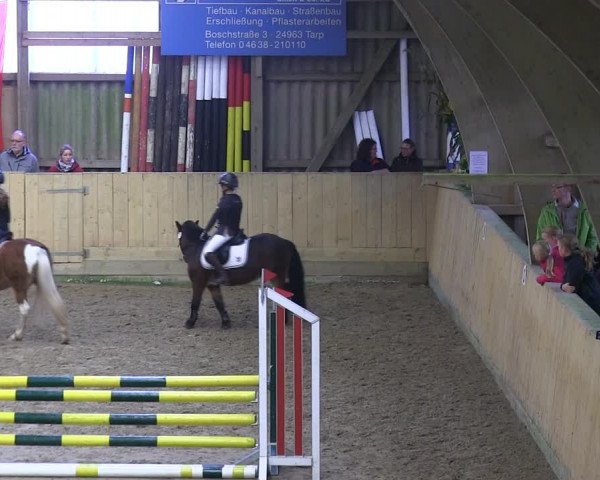 Reitturnier Sörup 2019