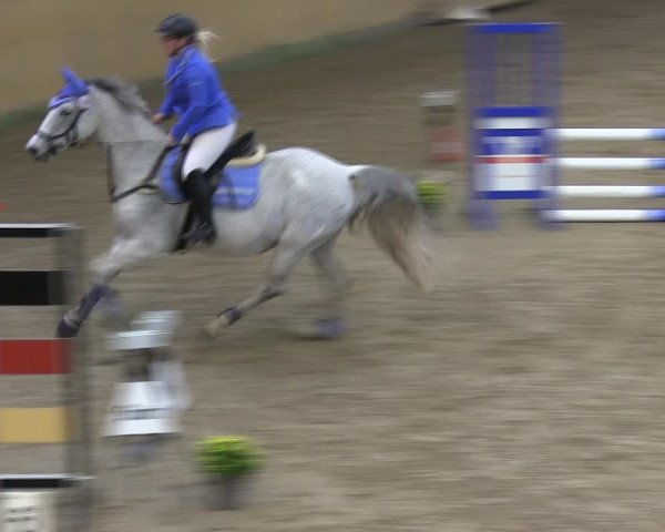 Reitturnier Sörup 2019