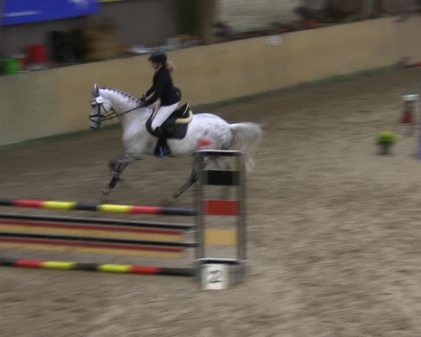 Reitturnier Sörup 2019