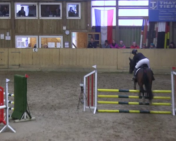 Reitturnier Sörup 2019