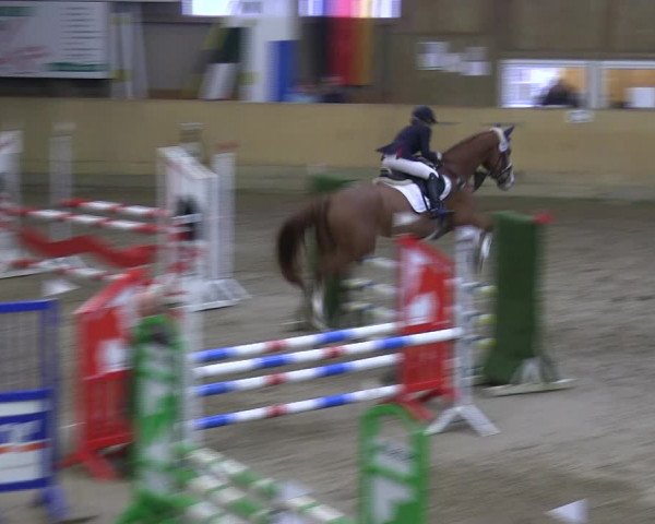 Reitturnier Sörup 2019