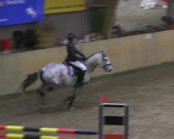 Reitturnier Sörup 2019