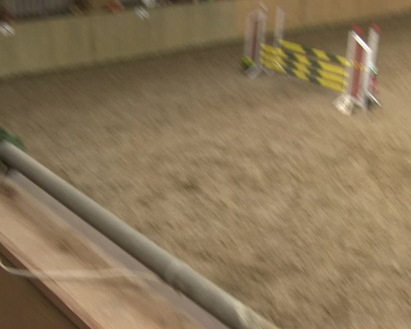 Reitturnier Sörup 2019