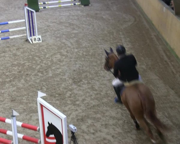 Reitturnier Sörup 2019