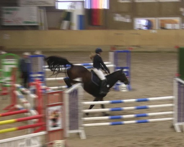 Reitturnier Sörup 2019