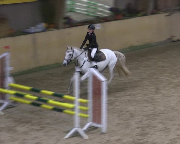 Reitturnier Sörup 2019