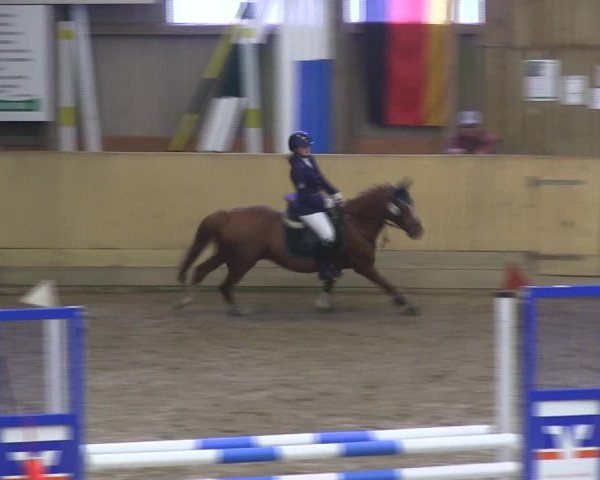Reitturnier Sörup 2019