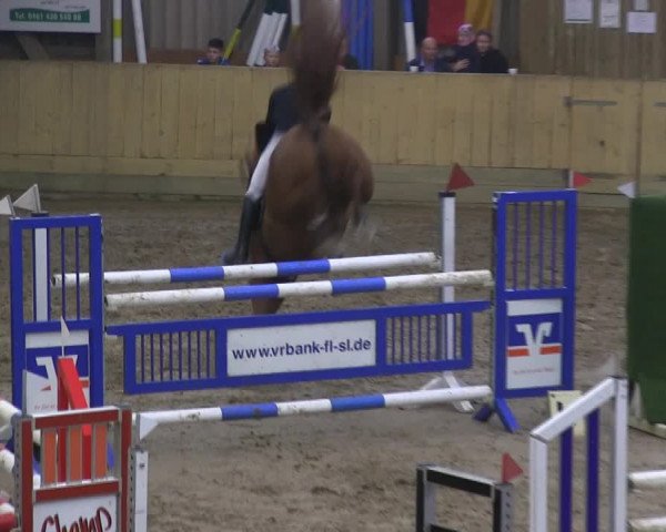 Reitturnier Sörup 2019