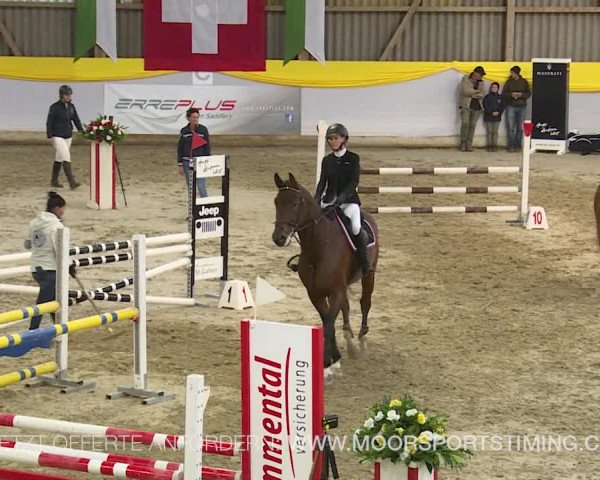 Reitturnier Wil 2019