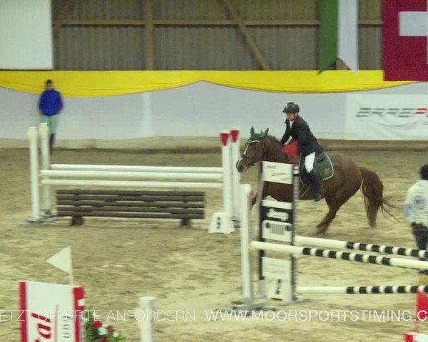 Reitturnier Wil 2019