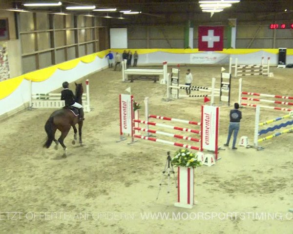 Reitturnier Wil 2019