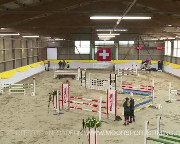 Reitturnier Wil 2019