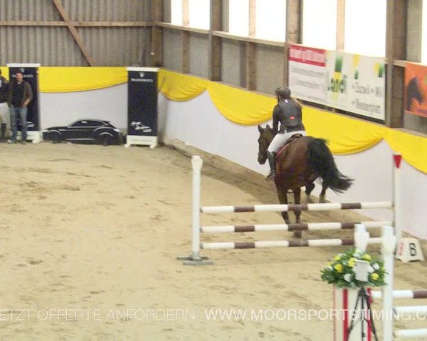 Reitturnier Wil 2019