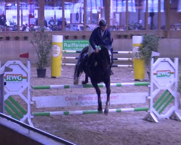Reitturnier Köln-Leverkusen 2019
