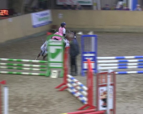 Reitturnier Sörup 2019
