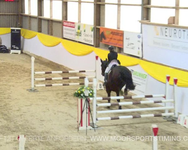 Reitturnier Wil 2019