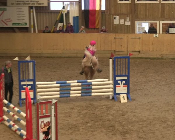 Reitturnier Sörup 2019