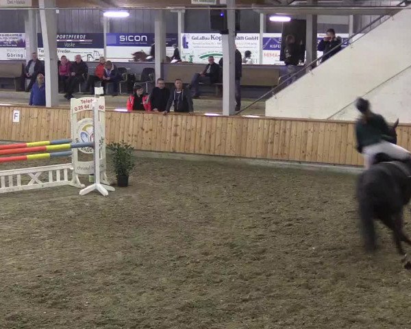 Reitturnier Vreden 2019