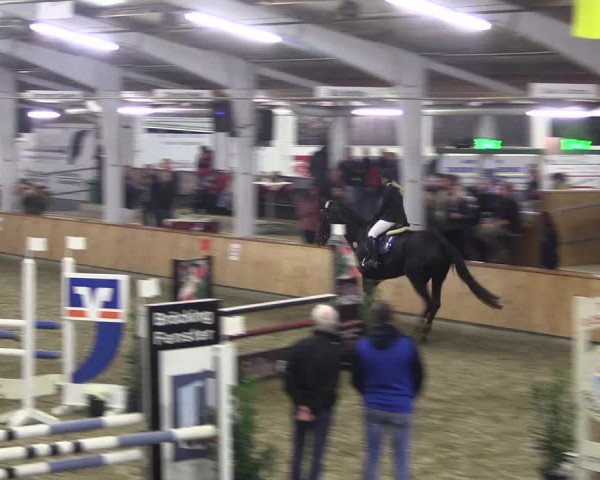 Reitturnier Vreden 2019