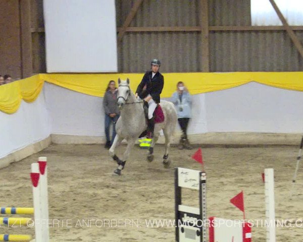 Reitturnier Wil 2019
