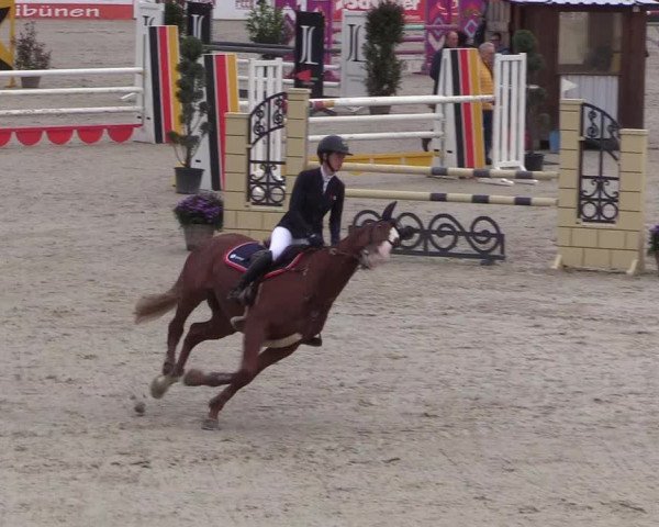 Reitturnier Westergellersen 2021