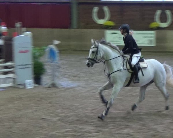 Reitturnier Köln-Leverkusen 2019