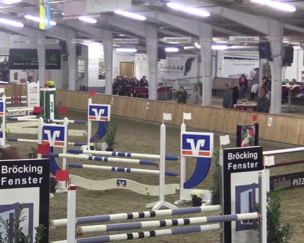 Reitturnier Vreden 2019