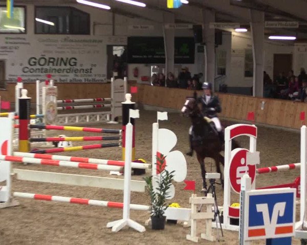 Reitturnier Vreden 2019
