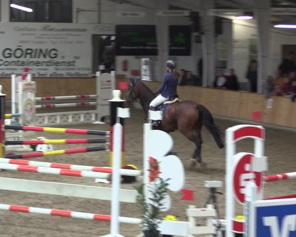 Reitturnier Vreden 2019
