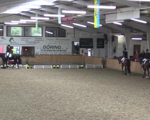 Reitturnier Vreden 2019