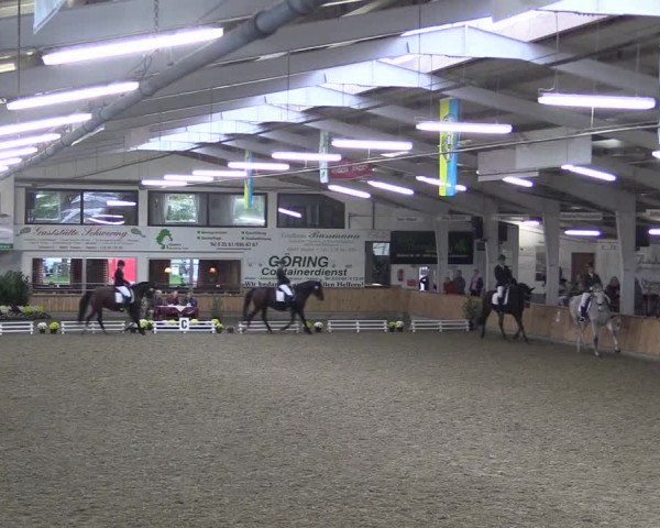 Reitturnier Vreden 2019