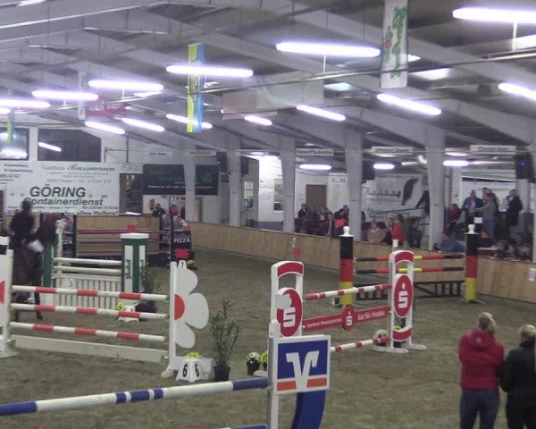 Reitturnier Vreden 2019