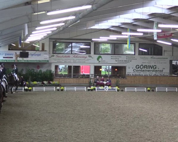 Reitturnier Vreden 2019