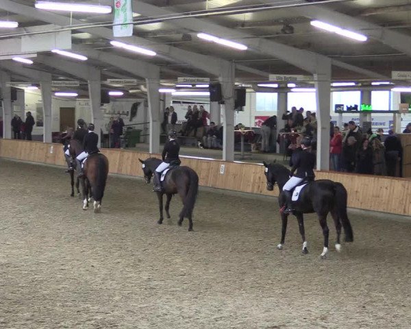 Reitturnier Vreden 2019