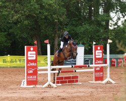 jumper Ziezo 9 (Pony without race description, 2004)