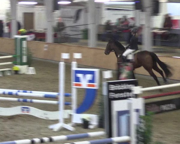 Reitturnier Vreden 2019