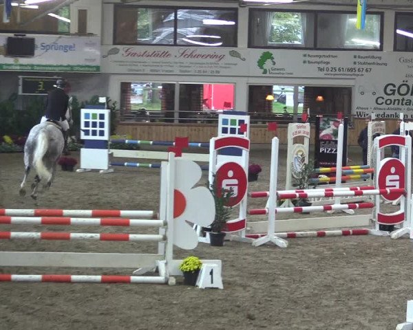 Reitturnier Vreden 2019