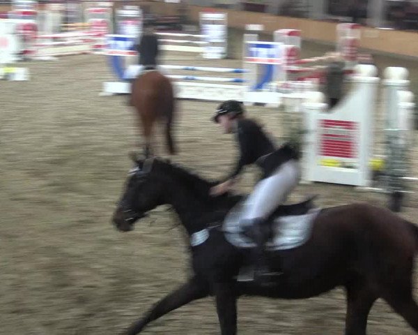 Reitturnier Vreden 2019