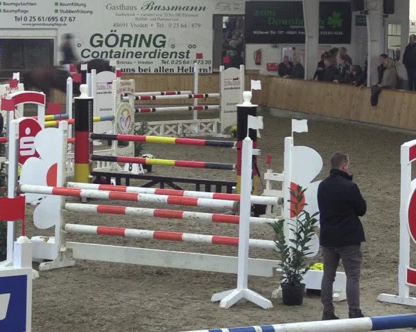 Reitturnier Vreden 2019