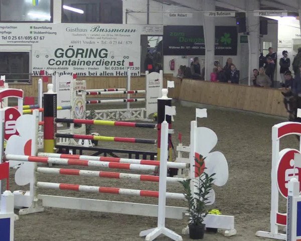Reitturnier Vreden 2019