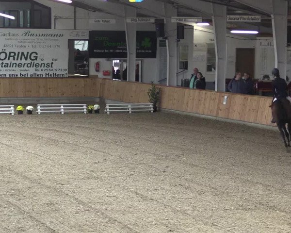 Reitturnier Vreden 2019