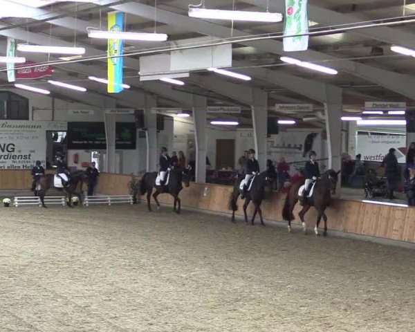 Reitturnier Vreden 2019