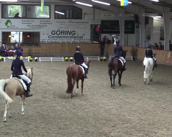 Reitturnier Vreden 2019