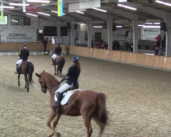 Reitturnier Vreden 2019