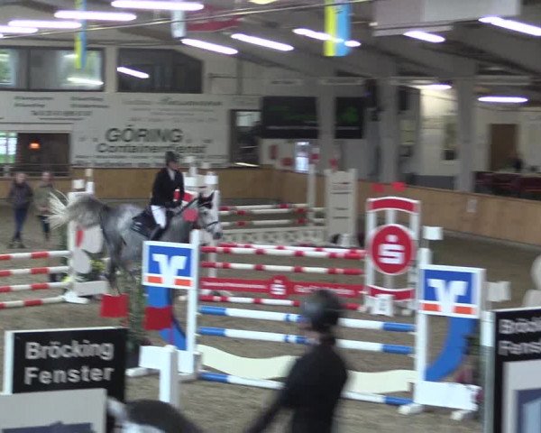Reitturnier Vreden 2019