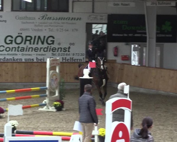 Reitturnier Vreden 2019
