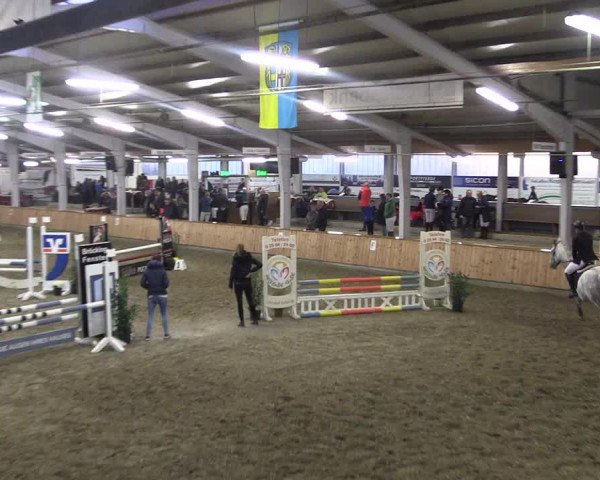 Reitturnier Vreden 2019